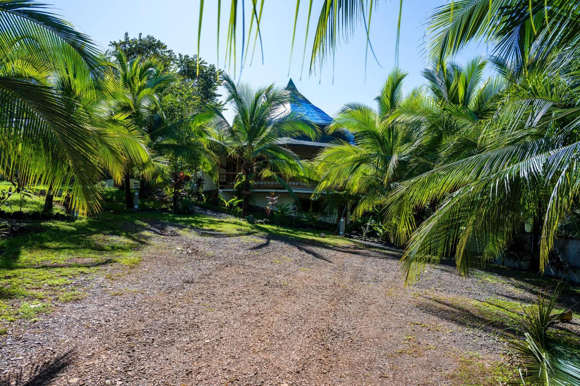 Eco-Lodge Deseo Bamboo 圣卡塔利娜岛 外观 照片