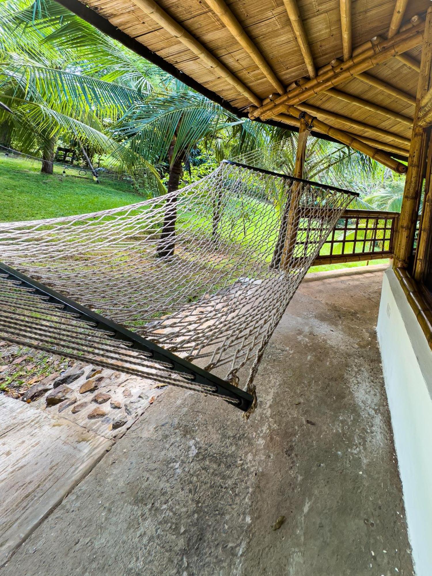Eco-Lodge Deseo Bamboo 圣卡塔利娜岛 外观 照片