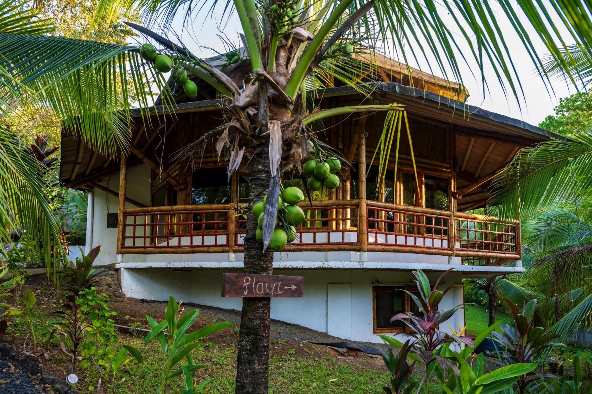Eco-Lodge Deseo Bamboo 圣卡塔利娜岛 外观 照片