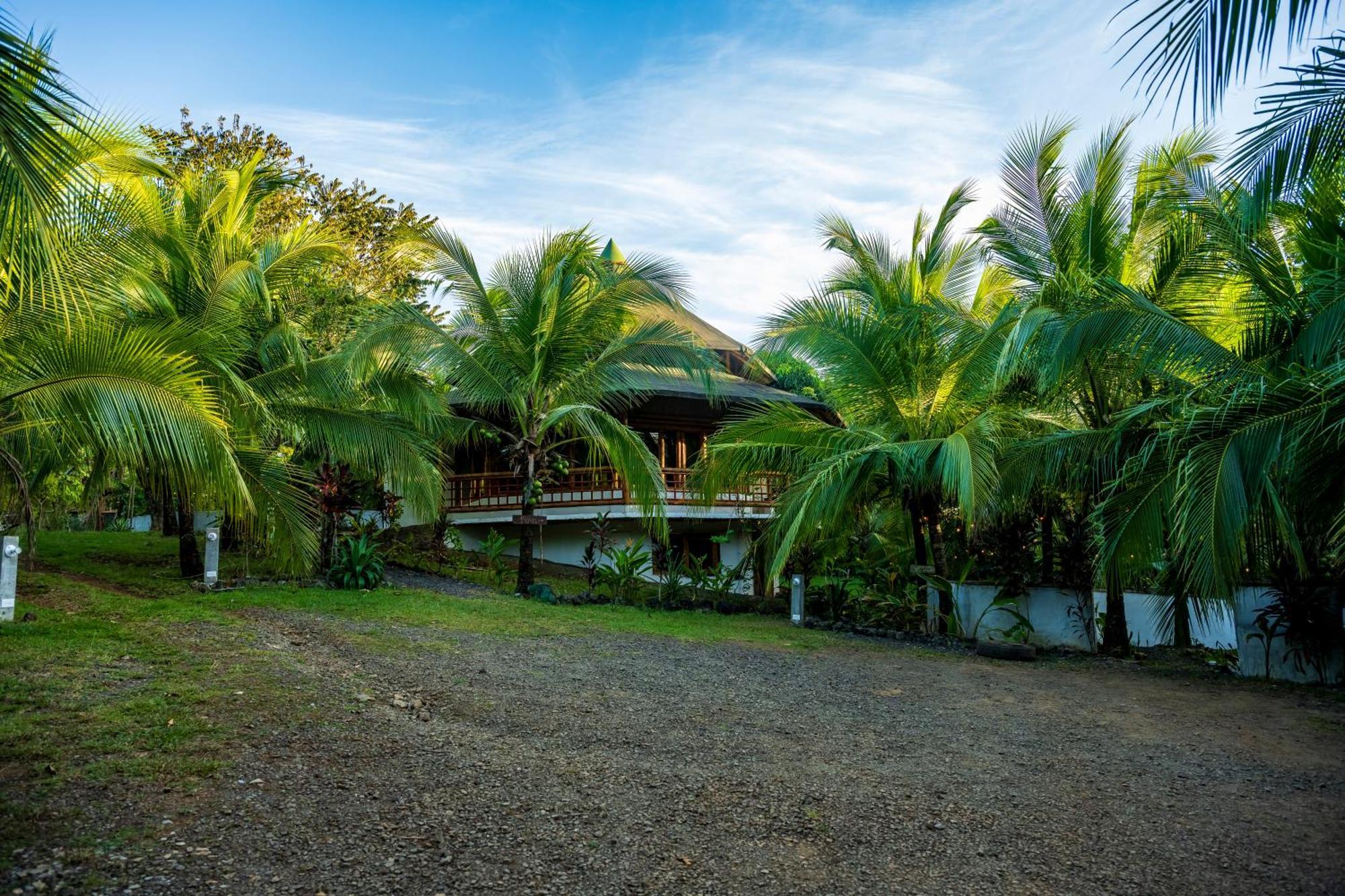 Eco-Lodge Deseo Bamboo 圣卡塔利娜岛 外观 照片