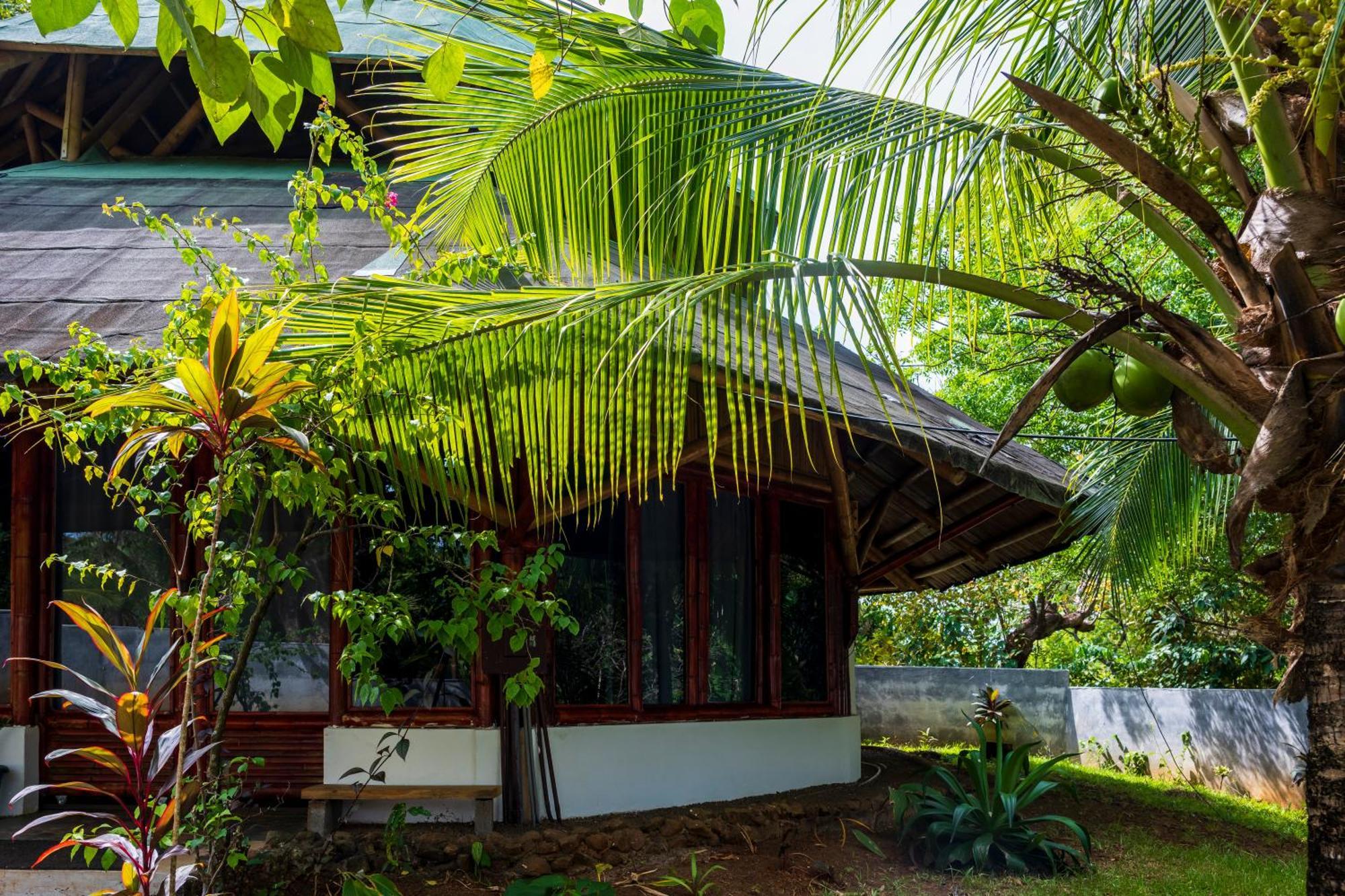 Eco-Lodge Deseo Bamboo 圣卡塔利娜岛 外观 照片
