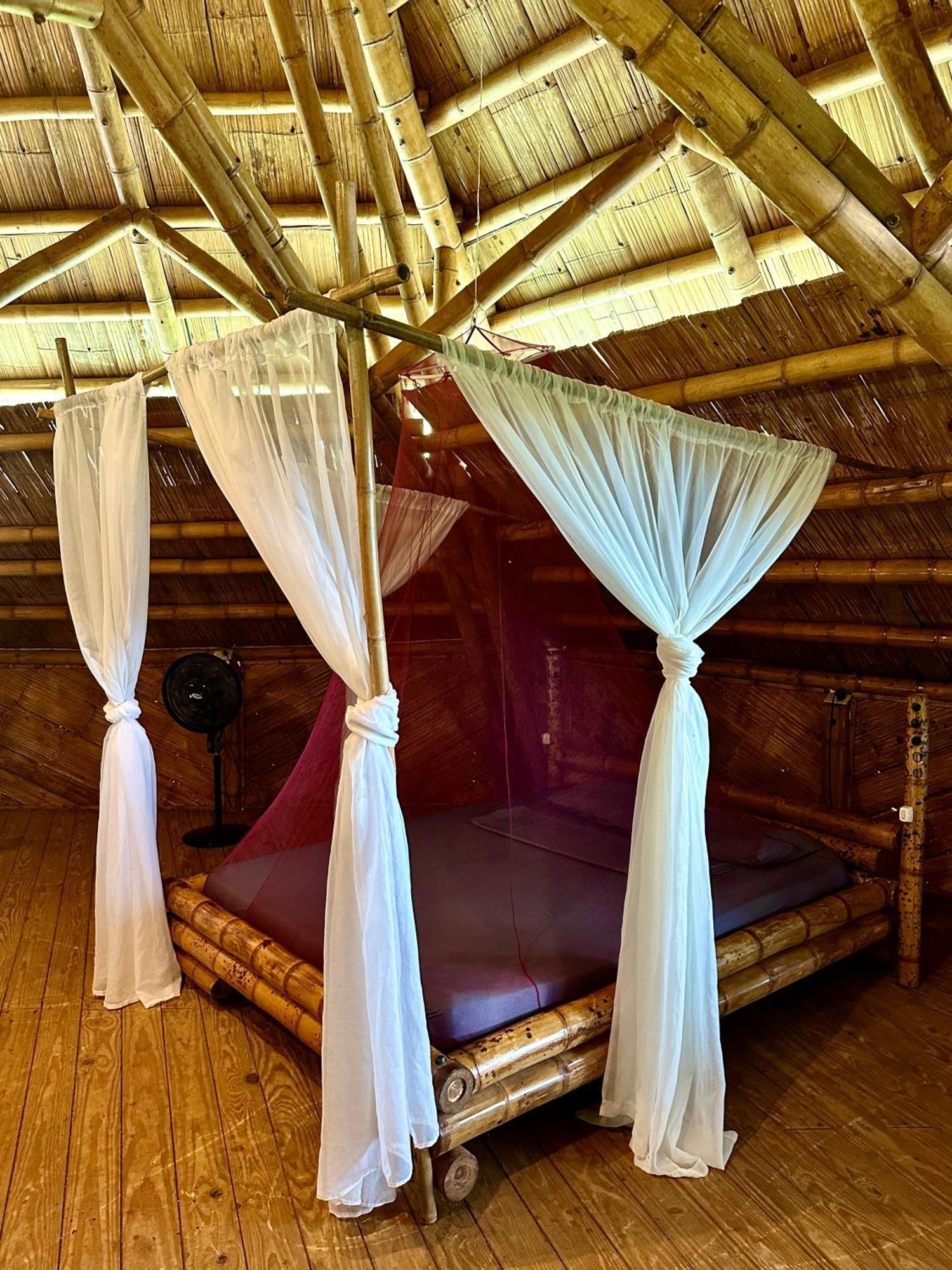 Eco-Lodge Deseo Bamboo 圣卡塔利娜岛 外观 照片