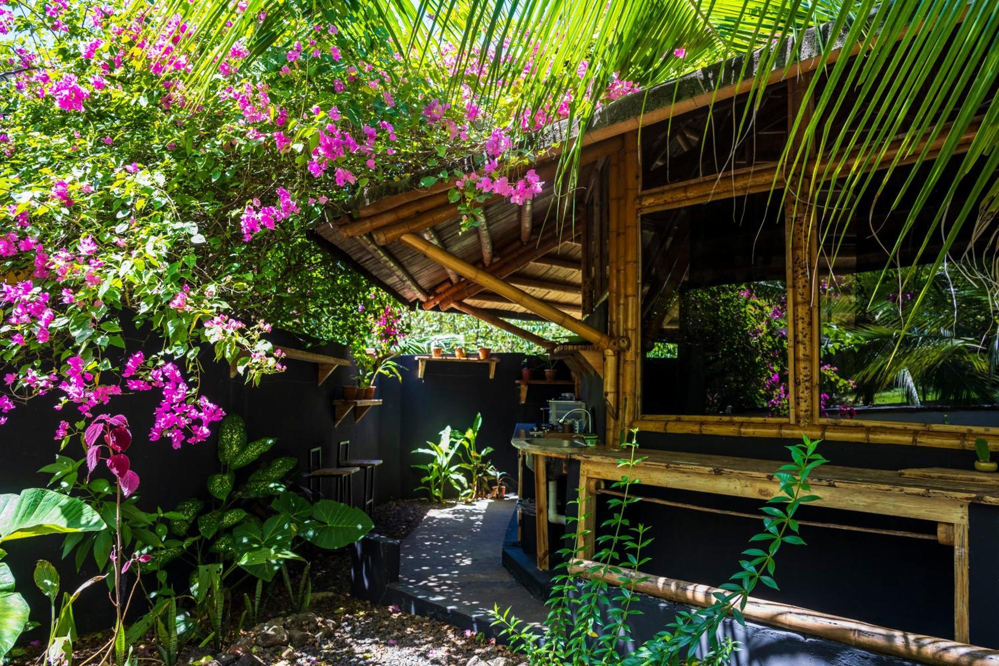 Eco-Lodge Deseo Bamboo 圣卡塔利娜岛 外观 照片